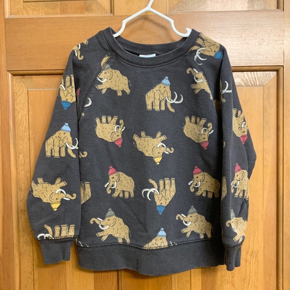 Hanna Andersson wooly mammoth sweatshirt sz5 - Picture 1 of 4